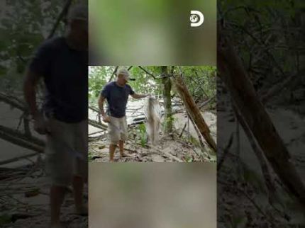Ed Stafford quase pisa em serpente marinha enquanto carrega o filho na ilha