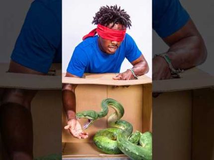 EXTREME WHATS IN THE BOX CHALLENGE!