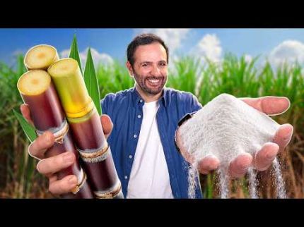 Transformamos CALDO DE CANA em AÇÚCAR!