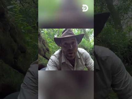 Descoberta impactante revela ruínas com túneis secretos no rio