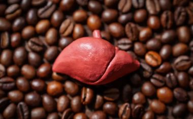 https://overdoso.com.br/2026/08/12/cafe-ajudar-proteger-figado-acumulo-gordura-cicatrizes-cancer/