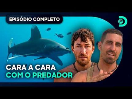 Matt e Jeff enfrentam águas infestadas de Predadores | Largados e Pelados entre Tubarões