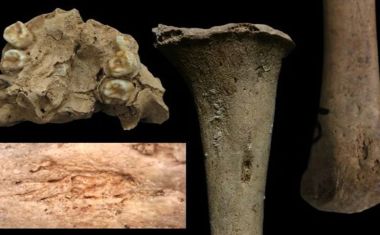 Esqueletos de 3.500 anos desafiam o que os cientistas pensavam saber sobre a sífilis