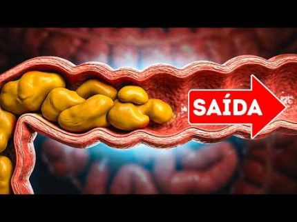 Como sua comida se transforma em cocô (e por que o cocô ancestral era melhor)