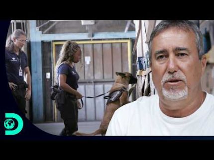 Equipe K9 Encontra Encomenda Suspeita em Fiscalização | Aeroporto – Área Restrita | Discovery Brasil