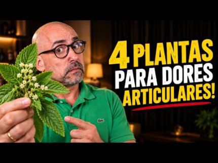 4 PLANTAS PARA DORES ARTICULARES!