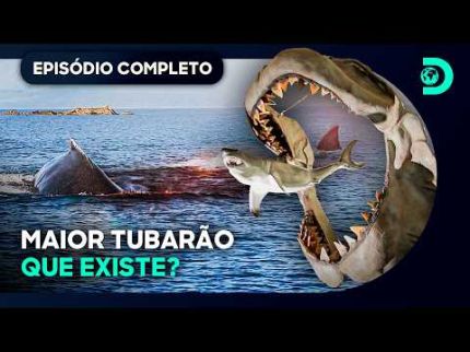 Ataques misteriosos fazem equipe perseguir tubarão pré-histórico | A Lenda do Tubarão Gigante