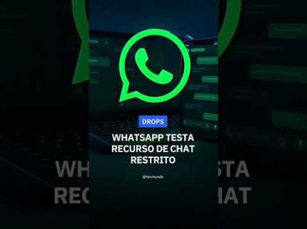 WHATSAPP TESTA CHAT RESTRITO