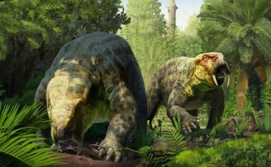 Um fóssil de 240 milhões de anos acaba de mudar a linha do tempo dos dinossauros