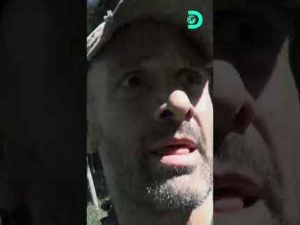 Ed descobre que um urso está por perto e decide deixar a região