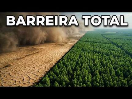 Por que os Estados Unidos plantaram 220 milhões de árvores, do Canadá ao Texas
