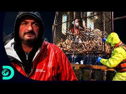 O Northwestern cai para 13 caranguejos após 50 horas de trabalho | Pesca Mortal | Discovery Brasil