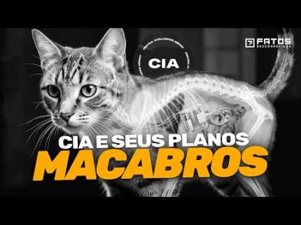 Os maiores sucessos da CIA